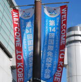 14th International Congress of Immunology in Kansai, Japanノボリ